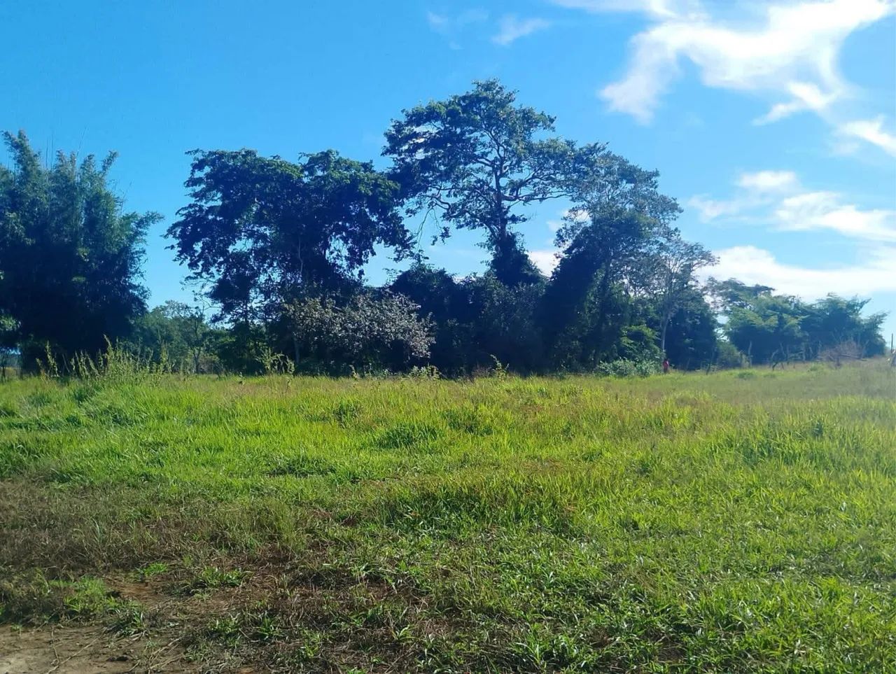 Vendo Sitio Morrinhos Quissamã - Foto 4