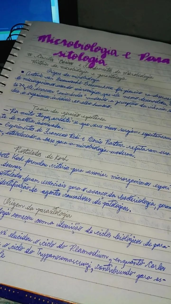Formatação ,revisão de texto e transcrição  - Foto 2