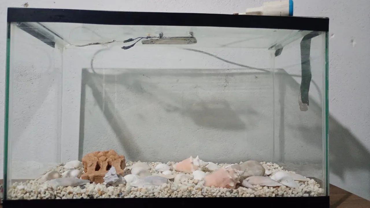 Vende - se aquário  - Foto 2