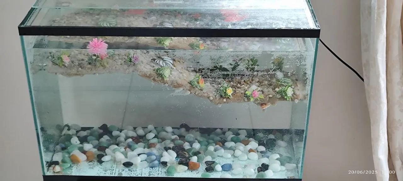 Aquário  - Foto 2