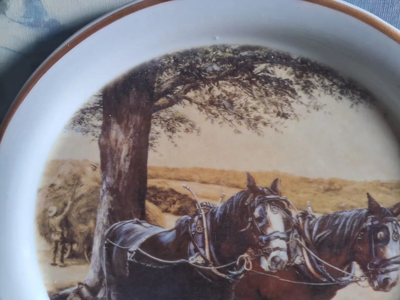 2 Pratos Antigo Porcelana 30 Centímetros  - Foto 4