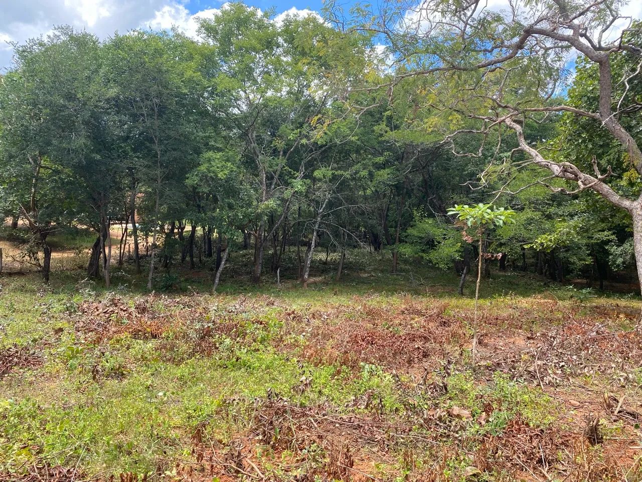 Terreno de 2,5 hectares com água e luz ?  - Foto 4