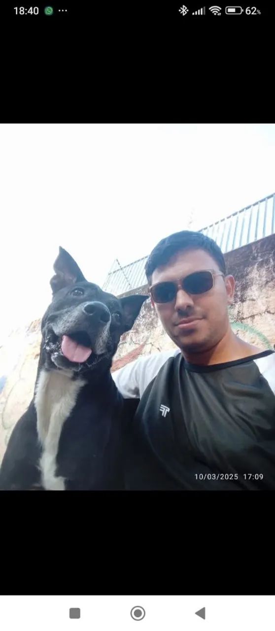 Passeador de cães  - Foto 2