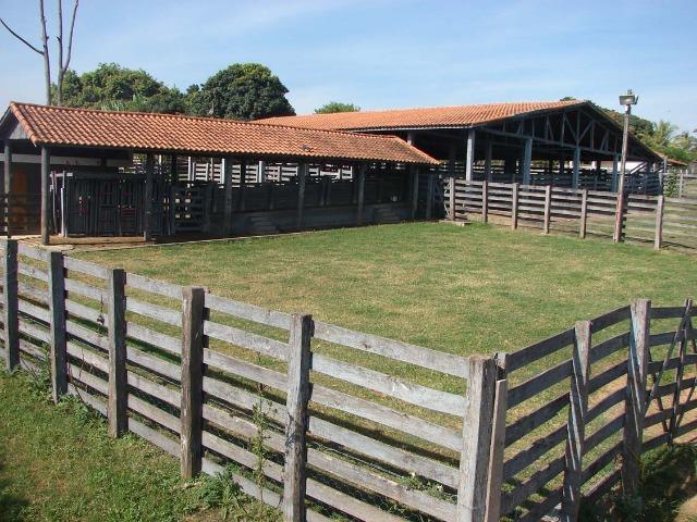 Fazenda 90 Hectares Prox. Sorocaba - Foto 19