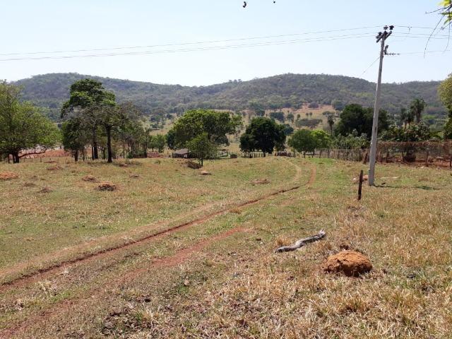 Terreno São Luis Montes Belos - Foto 7