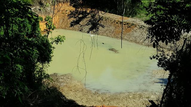Sítio em Belvedere - Foto 11
