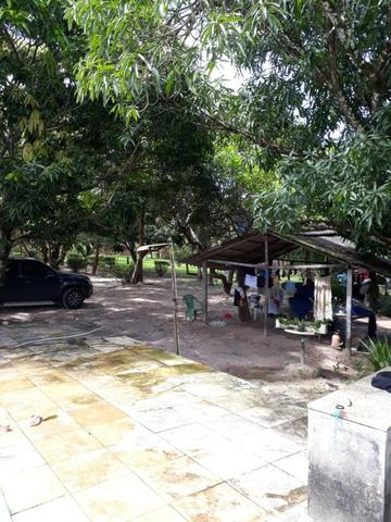 Sitio na Piçarreira - Vendo - Foto 3