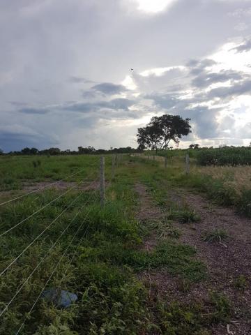 Sítio na br 050 próximo de cuiabá - Foto 2