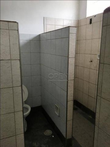 Terreno para alugar, 1500 m² por r$ 8.500,00/mês - santa maria - são caetano do sul/sp - Foto 19