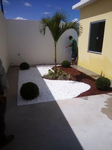 Plantas - Foto 2