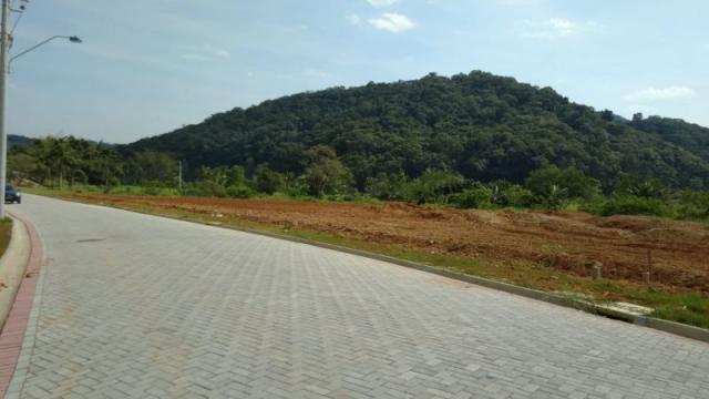 Terreno plano no bairro Limeira! - Foto 6
