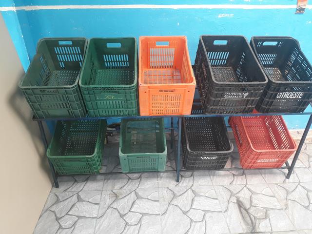 Expositora de frutas e verduras