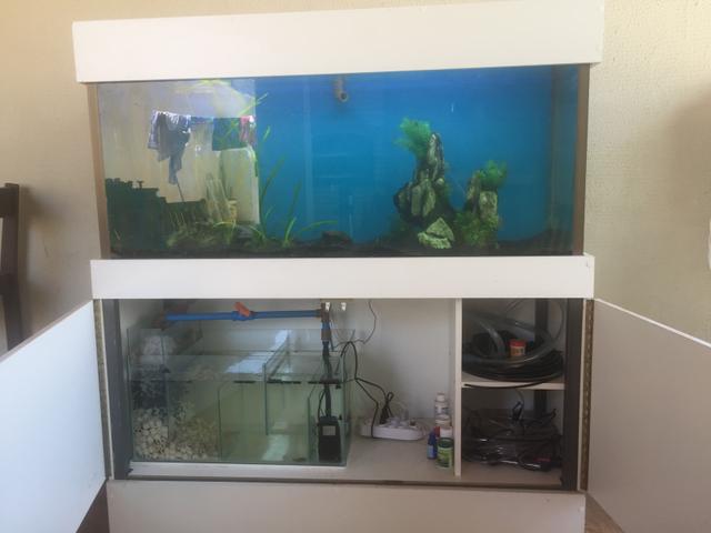 VENDO AQUARIO 240l - Foto 2
