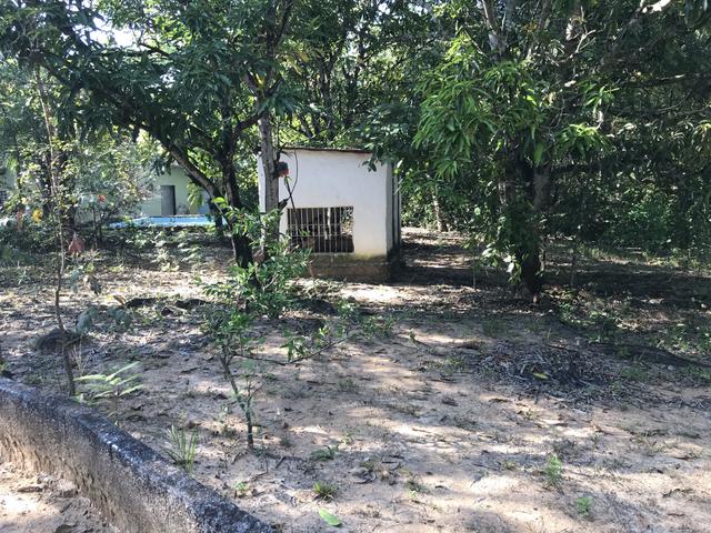 Chácara 7 hectares á venda Rio dos Peixes - Foto 18