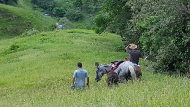 Sítio de 14 alqueires ou 68.320 hectares em Silva Jardim RJ - Foto 3