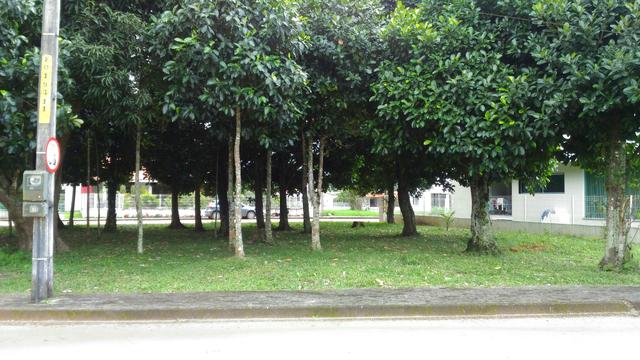 Vendo - Lotes Facilitados em até 100 meses - Aldeia - Foto 6