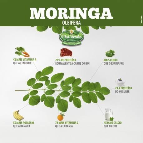 moringa serve para próstata