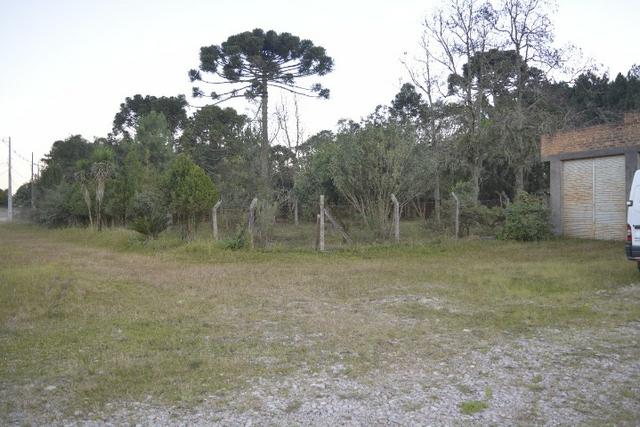 Chácara com 15.400 m² Campo Largo da Roseira - Foto 17
