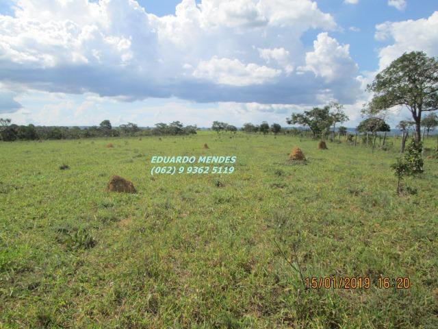 Terra c/ um alqueire sem benfeitorias, 600 metros da BR 060 Abadiânia, expansão Urbana - Foto 7