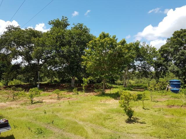 Pesqueiro em barão de melgaço 6 hectares - Foto 2