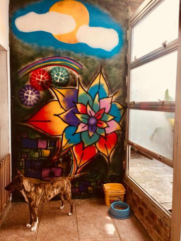 Vende-se uma excelente casa - Foto 8