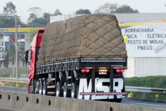 IVECO 2019