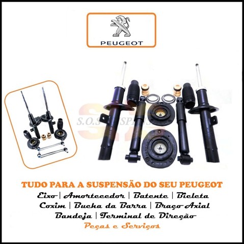 Eixo Traseiro Peugeot 206 SW e 207 Escapade Sem ABS - Foto 4