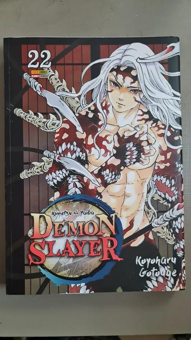 Demon Slayer Kimetsu No Yaiba, Livro Vol. 1 Ao 22