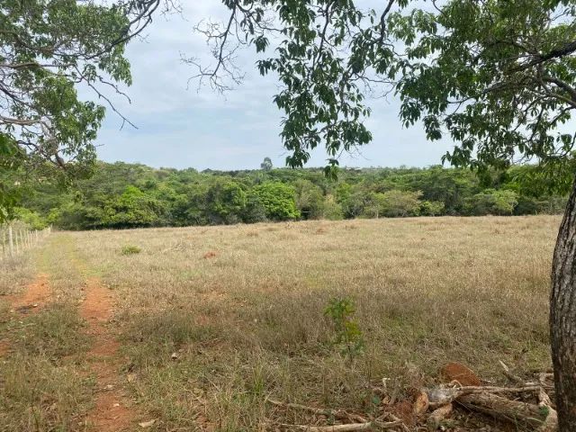 Chácara de 20.000 m² toda cercada, com riacho nos fundos, Jaboticatubas. - Foto 9