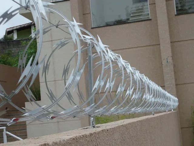 Concertina Galvanizada