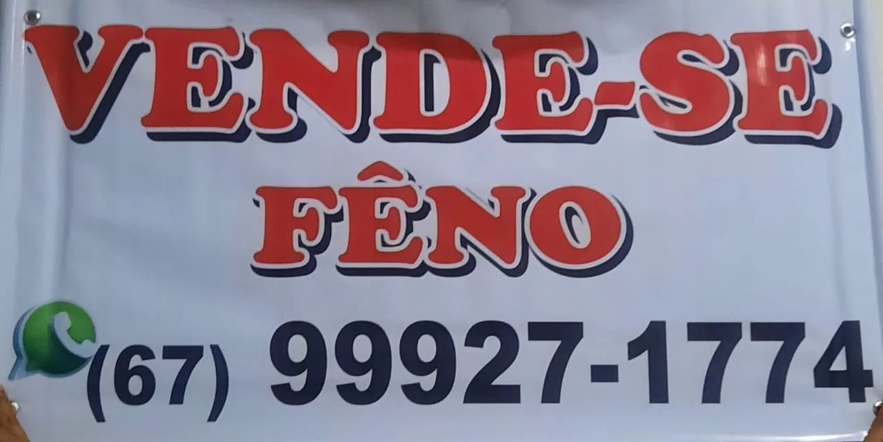 Feno de alta qualidade para animais - Foto 2