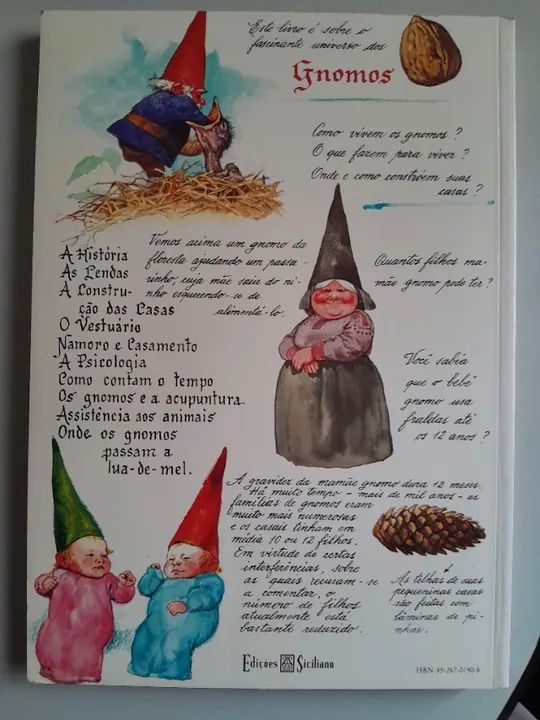 Gnomos da Floresta - Foto 2