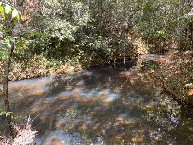 Chácara de 20.000 m² toda cercada, com riacho nos fundos, Jaboticatubas. - Foto 10