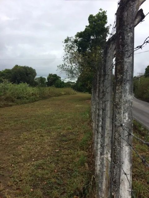 Melhor Área 11 Hectares Industrial, 241m de Beira, Pista Guabiraba, Instalação Empresas - Foto 5