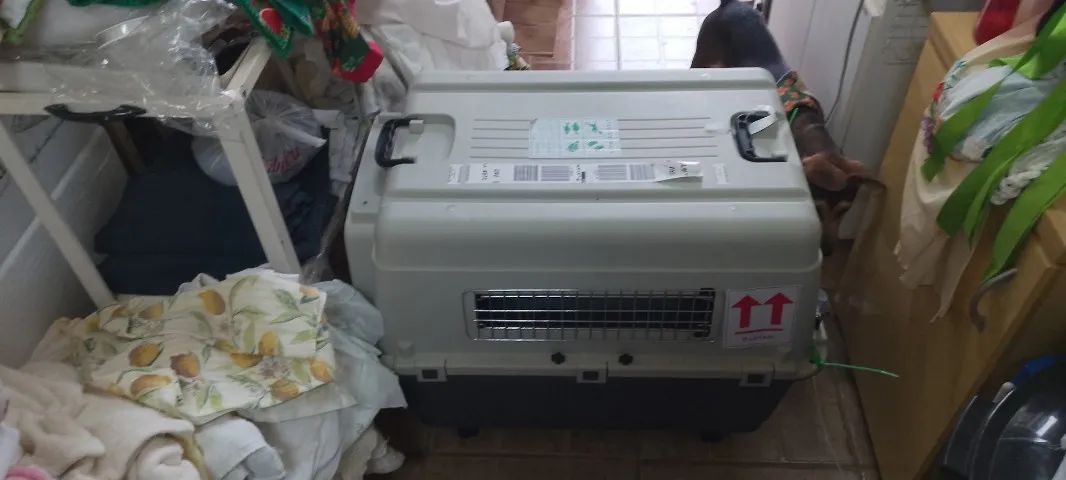 Caixa de Transporte para animais Iata - Foto 4