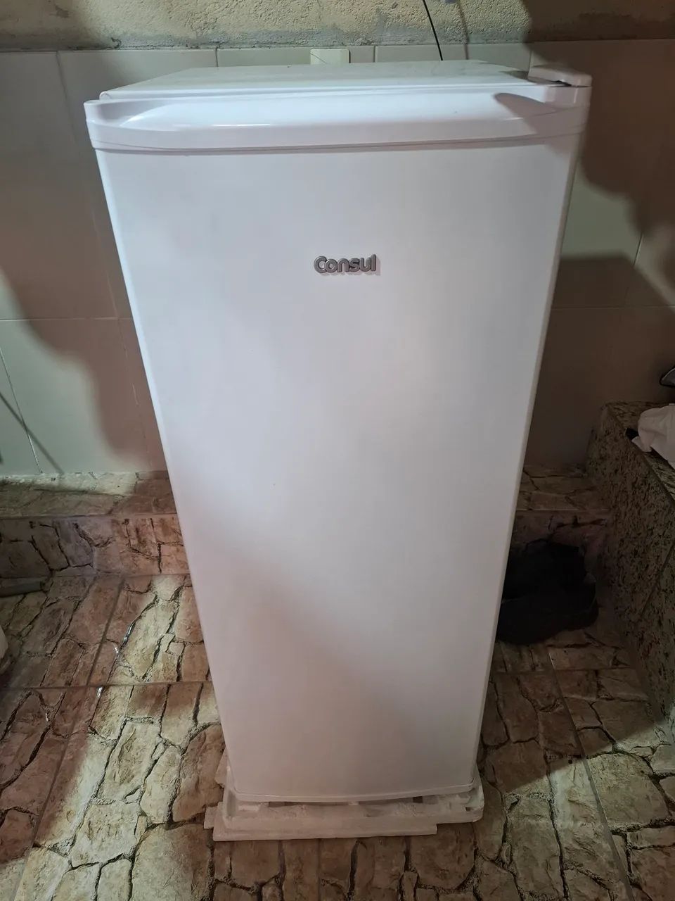 Freezer Vertical Consul