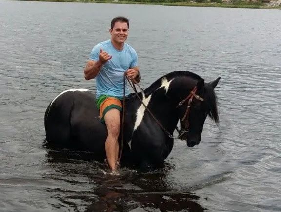 Cavalo criolo registrado  - Foto 5