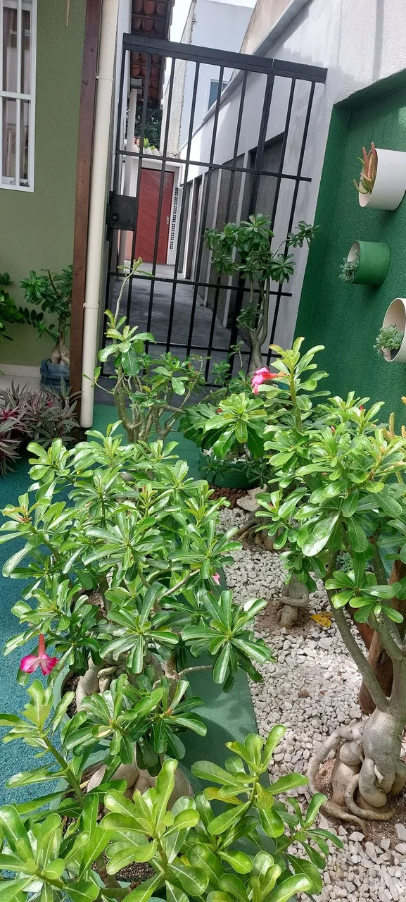 Vendo casa cidade rosas jardins