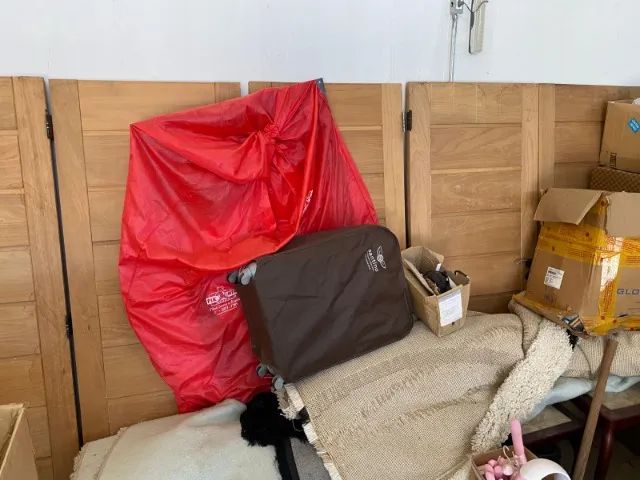 Portas de madeira maciça (Jequitibá)64286340757378122