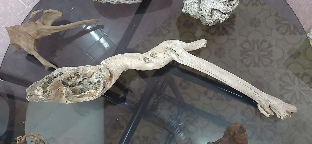 Raiz para hardscape - Foto 2