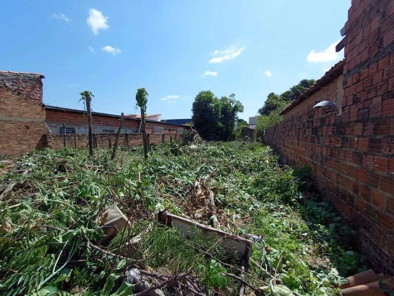 R. CLÓVIS BEVILÁQUA - BAIRRO; PIÇARRA - Foto 2