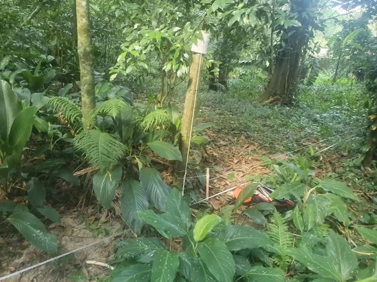 Chácara em Bertioga - Condomínio Parque Caiubura - Foto 4