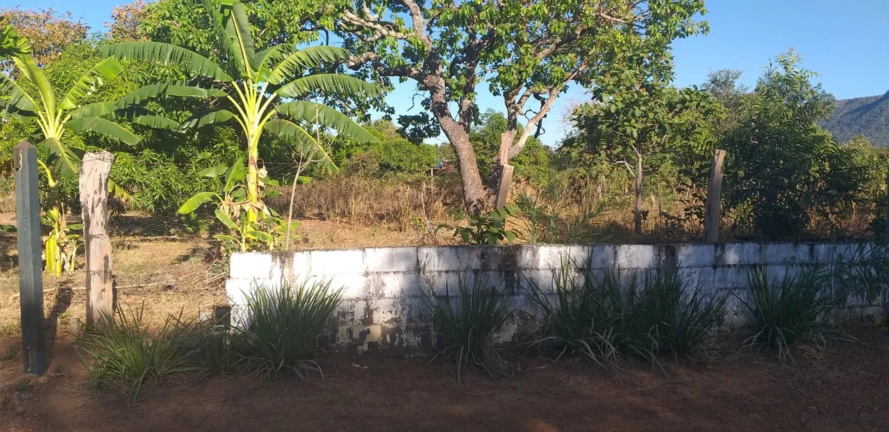 Chácara na região de Taquarussu grande