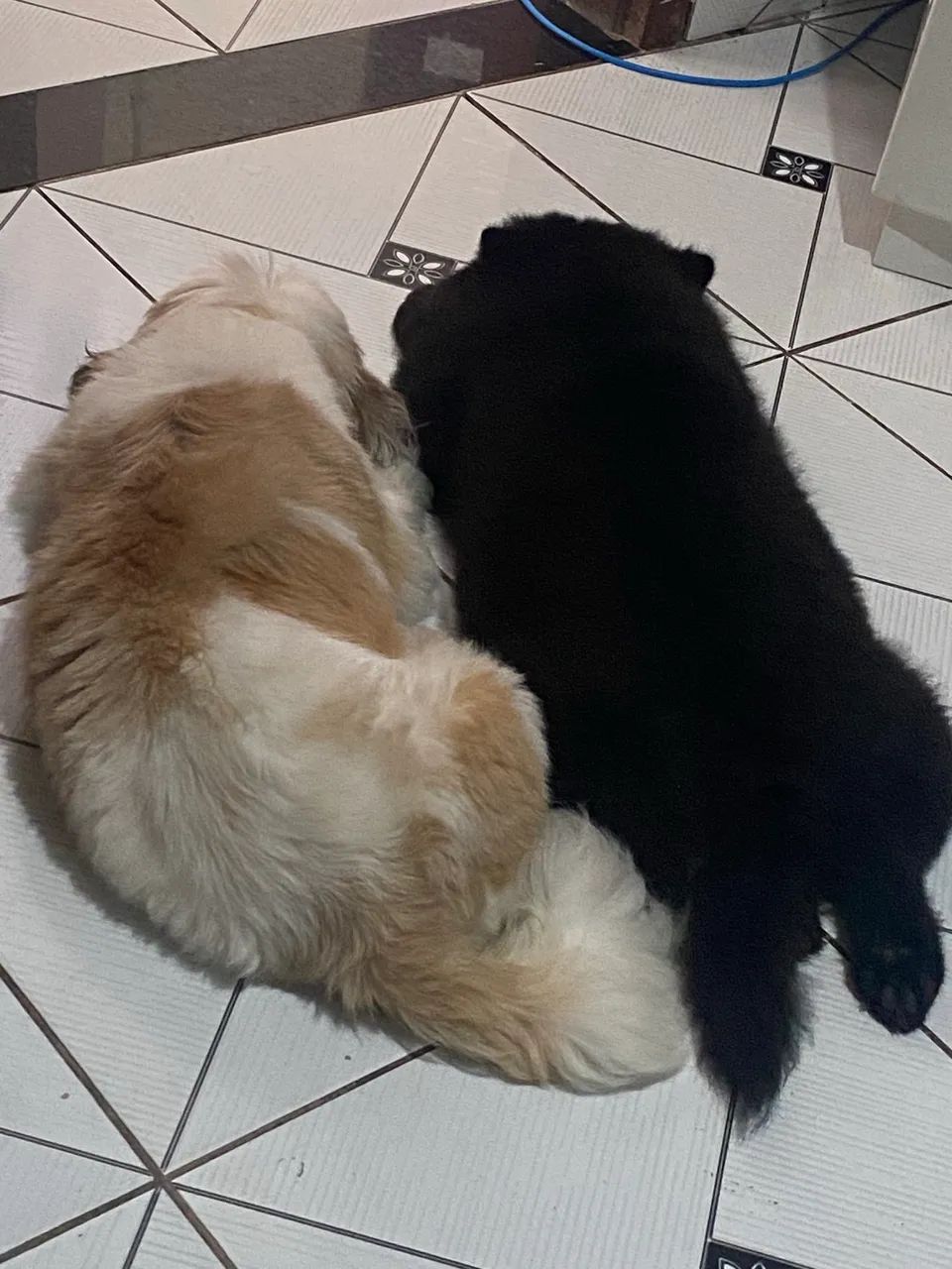 Doação  - Foto 2