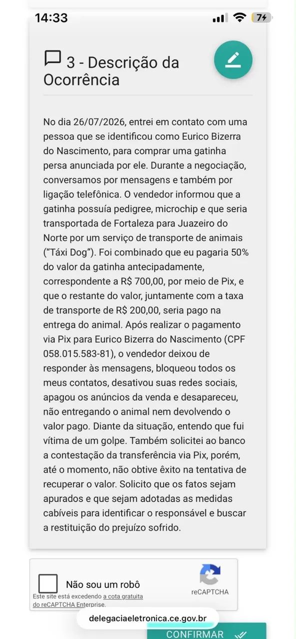 Gatos - Foto 3