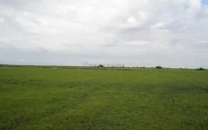FAZENDA À VENDA  PANTANAL MATO-GROSSENSE - Foto 2