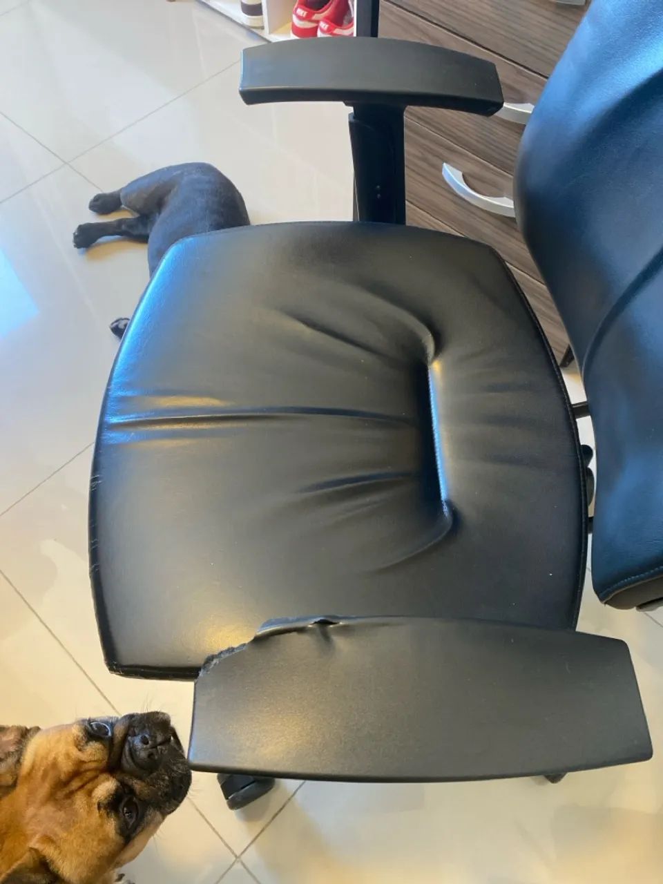 Cadeira presidente - Flexform - Foto 4