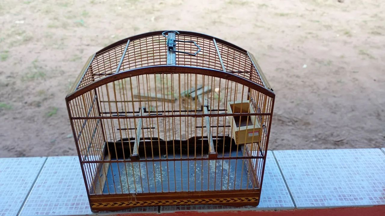 Gaiolas pra vender . - Foto 2