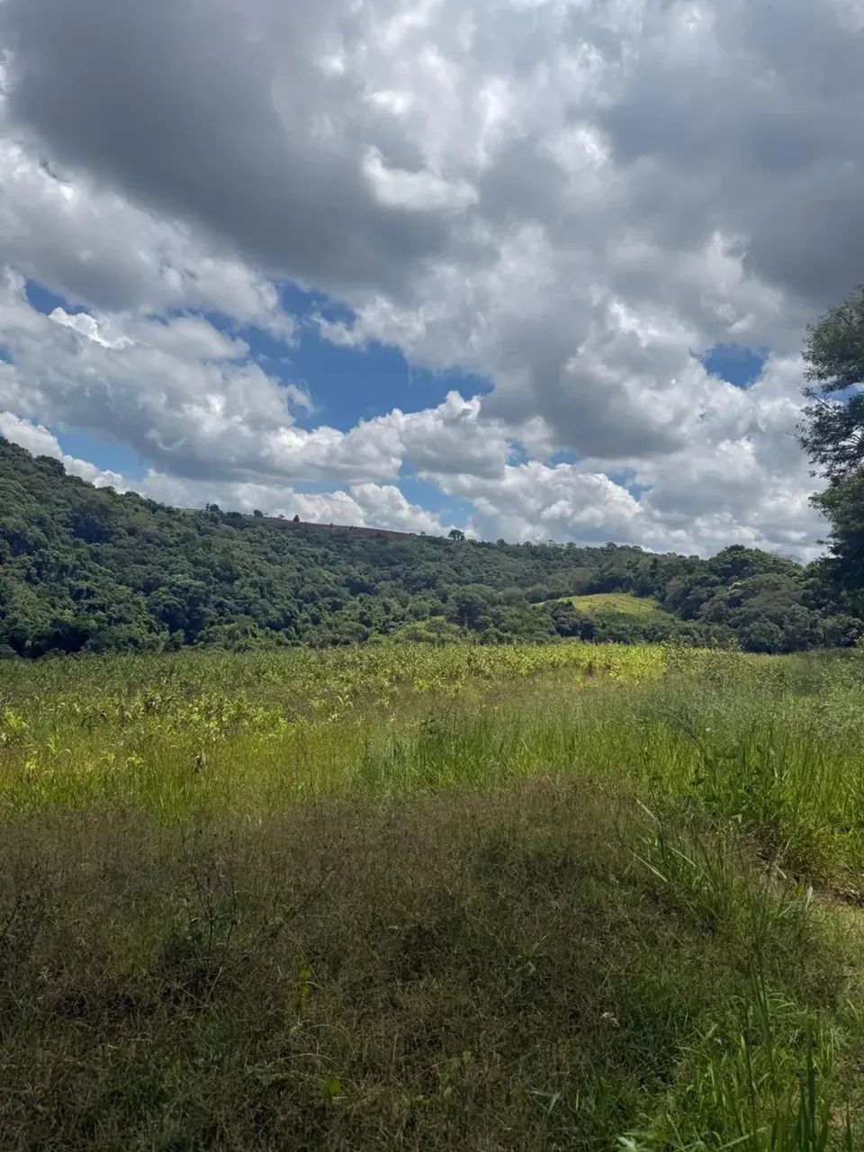 Lotes para venda possui 1000 metros quadrados em Colégio - Ibiúna - SP - Foto 3