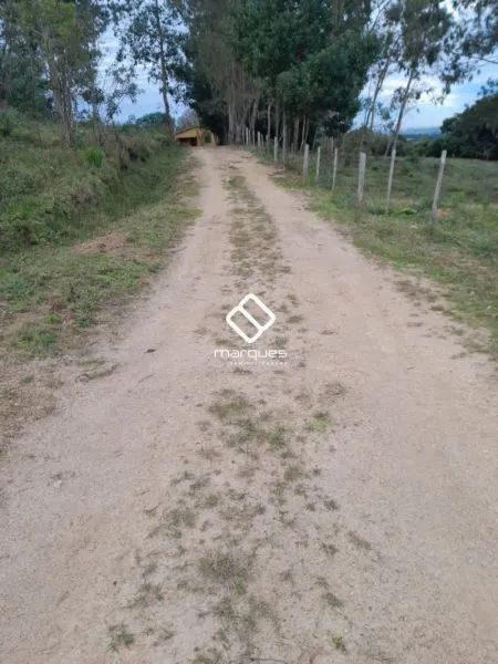 Chácara Morro Redondo RS brasil - Foto 4